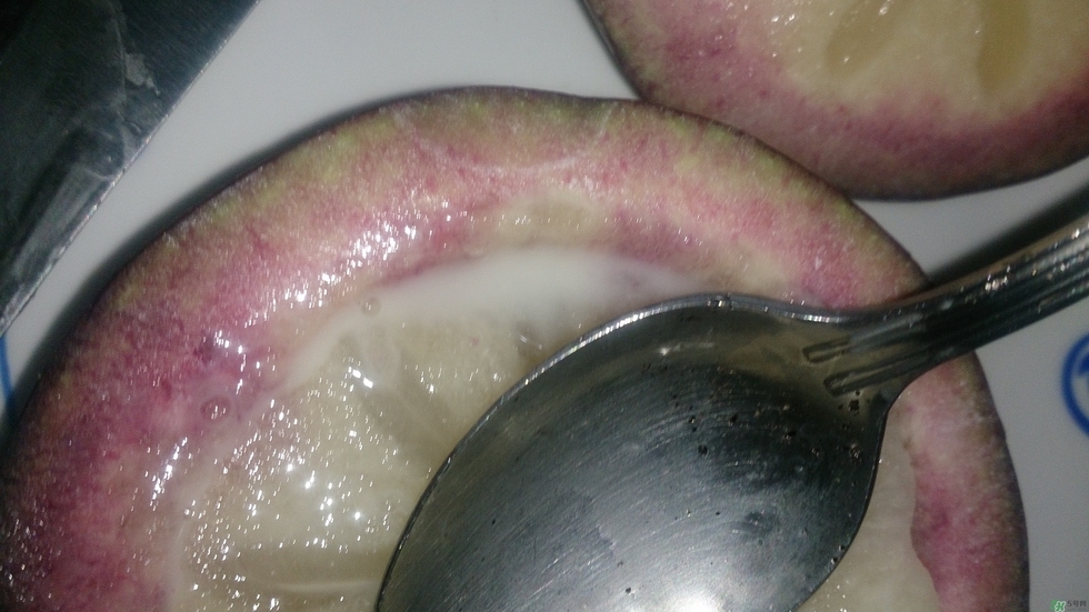 牛奶果怎么吃？牛奶果的功效與作用