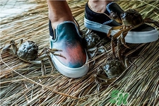 vans與acu合作款鞋子在哪可以買？vans與acu合作款鞋子上市發(fā)售時(shí)間