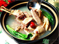 鴨肉和柿子能一起吃嗎？吃完鴨肉可以吃柿子嗎？