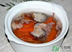 雞肉能和胡蘿卜一起吃嗎？雞肉和蘿卜可以一起吃嗎？