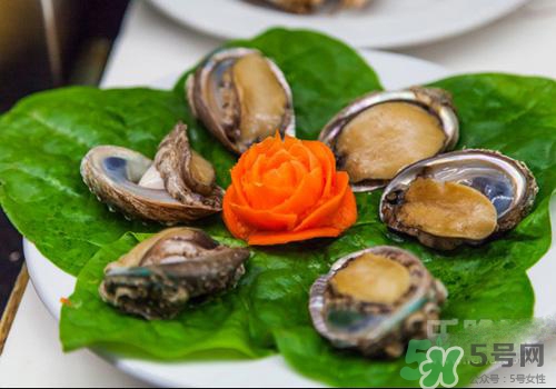 鮑魚是熱性還是涼性？鮑魚是寒性食物嗎？