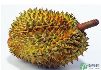 吃完牛肉可以吃榴蓮嗎？牛肉和榴蓮能一起吃嗎？