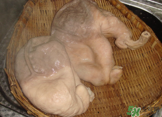 豬大腸怎么清洗？豬大腸怎么去臭味？