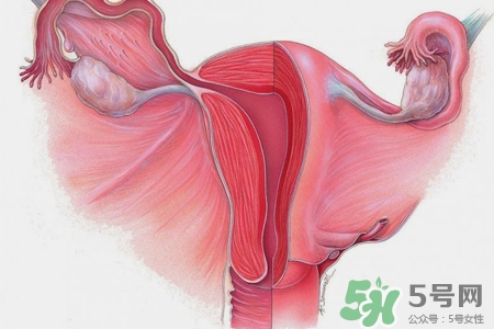 子宮小會影響生育嗎？子宮小會導(dǎo)致不孕嗎？