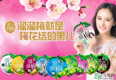 溜溜梅是梅花結(jié)的果嗎？溜溜梅的功效作用