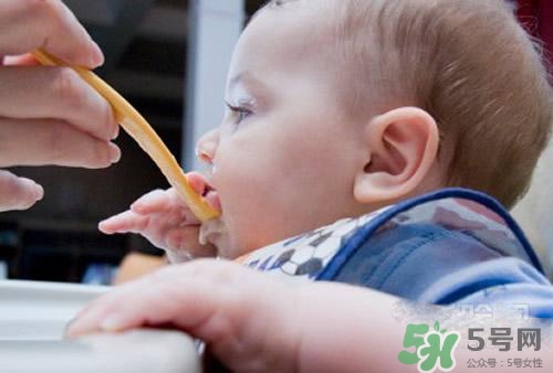 6個月的寶寶可以吃肉泥嗎？寶寶幾個月可以吃肉泥？