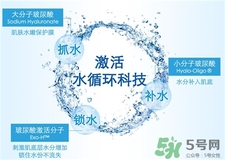 寵愛(ài)之名玻尿酸藍(lán)銅精華多少錢?
