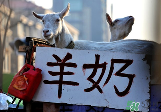 鮮羊奶怎么保存？鮮羊奶放冰箱能放多久？