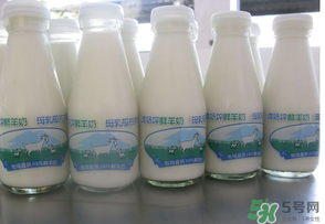 鮮羊奶可以直接喝嗎？鮮羊奶怎么喝最好？