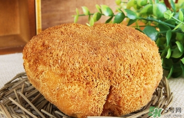 猴頭菇怎么吃？猴頭菇的功效與作用