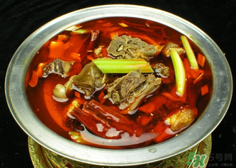 狗肉不能和什么一起吃？狗肉和什么相克？