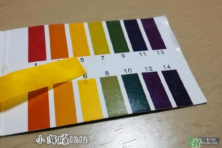 賽貝格哪里買？賽貝格哪里有專柜？
