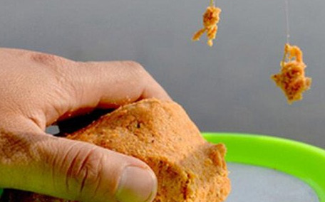 青魚怎么釣？釣青魚用什么餌料最好？