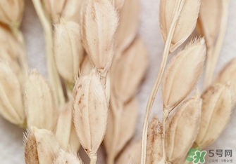韓律適合什么膚質(zhì)？韓律適合敏感肌膚嗎？