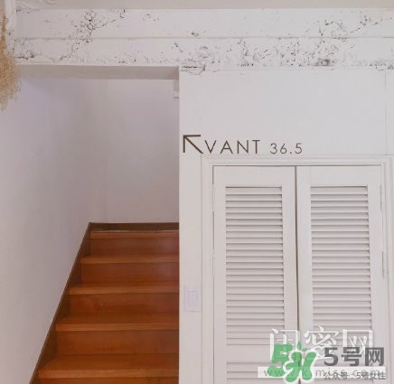 vant氣墊粉底霜怎么樣？vant36.5粉霜粉膏好用嗎？