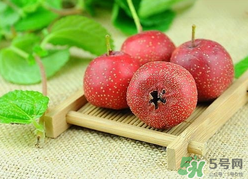 新鮮山楂什么時(shí)候上市？新鮮山楂什么時(shí)候成熟？