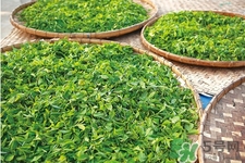 冬天可以喝綠茶嗎？冬天喝綠茶好還是紅茶好？