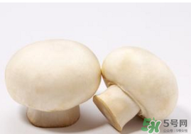 口菇變黑還能吃嗎？口菇的營(yíng)養(yǎng)價(jià)值