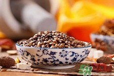 喝大麥茶可以減肥嗎？飲用大麥茶也能減肥