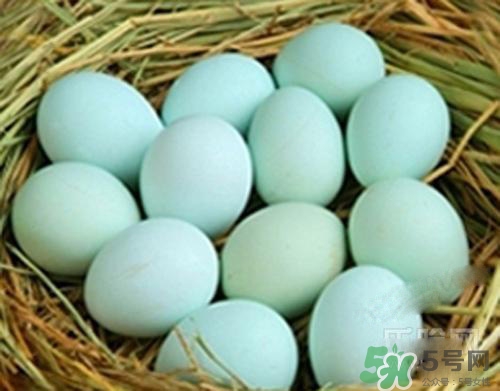 綠皮雞蛋是怎么回事？綠皮雞蛋的營養(yǎng)價值