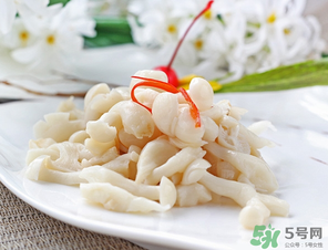 白玉菇孕婦能吃嗎？孕婦可以吃白玉菇嗎？