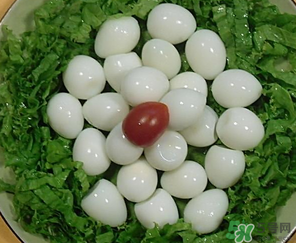 鵪鶉蛋一天吃幾個合適？鵪鶉蛋一天最多吃幾個？