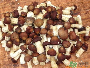 草菇可以放冰箱嗎？草菇放冰箱還能吃嗎？