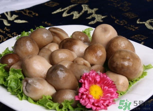 草菇可以放冰箱嗎？草菇放冰箱還能吃嗎？