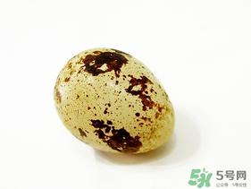 鵪鶉蛋不能和什么一起吃？鵪鶉蛋不能與什么同食？