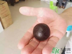 羊?qū)毷鞘裁?？羊?qū)殲槭裁催@么貴？