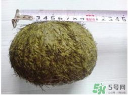 羊?qū)毷鞘裁?？羊?qū)殲槭裁催@么貴？