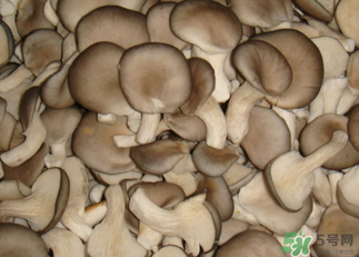 吃平菇有什么好處？平菇怎么做好吃？