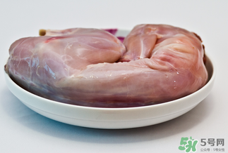 吃兔肉有什么禁忌嗎？兔肉和什么相克？