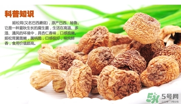 巴西蘑菇怎么吃？巴西蘑菇的作用與功效