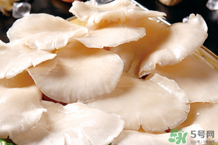 平菇怎么洗？平菇怎么洗才干凈？