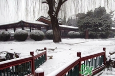 下雪天適合吃什么？下雪天吃什么食物好？
