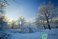 下雪天會打雷嗎？下雪天為什么會大雷？