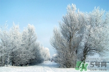 下雪天會打雷嗎？下雪天為什么會大雷？