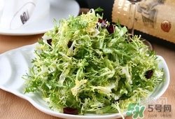 苦菊可以減肥嗎？苦菊怎么吃可以減肥？