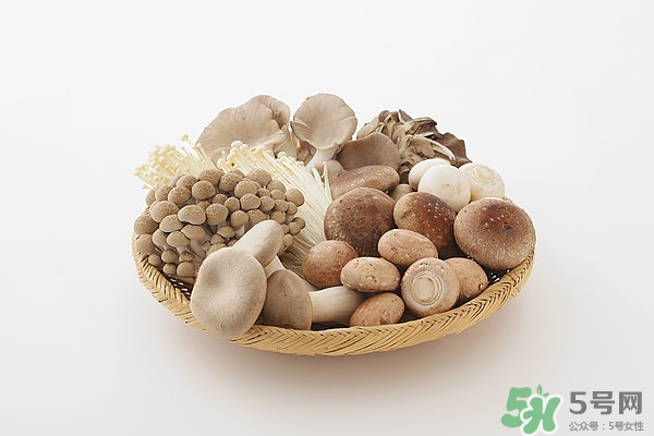 洋菇的營養(yǎng)價(jià)值 洋菇的功效與作用