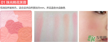 canmake花瓣腮紅珠光還是啞光好？canmake腮紅珠光好看還是啞光？