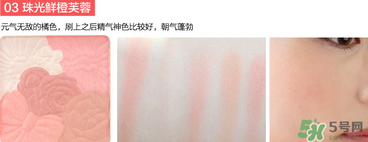canmake花瓣腮紅珠光還是啞光好？canmake腮紅珠光好看還是啞光？