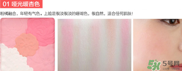 canmake花瓣腮紅珠光還是啞光好？canmake腮紅珠光好看還是啞光？