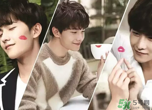 嬌蘭344和325哪個(gè)好看？嬌蘭344和325對(duì)比