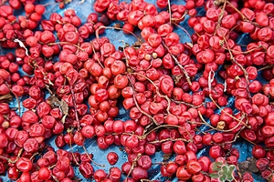 五味子茶韓國怎么喝？五味子茶的五種味道代表什么？