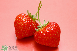 冬天有草莓嗎？冬天的草莓能吃嗎？