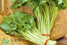 冬天可以吃空心菜嗎？冬天排毒多吃空心菜