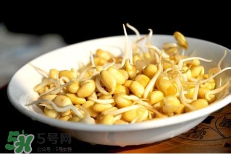 冬天可以發(fā)豆芽嗎？冬天怎樣發(fā)黃豆芽？