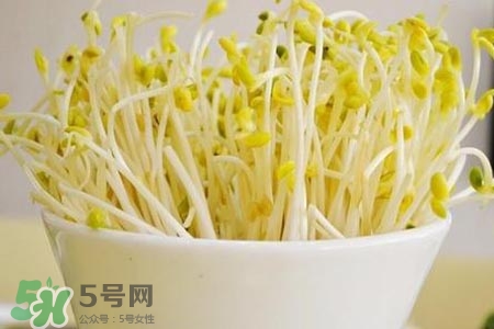 冬天可以發(fā)豆芽嗎？冬天怎樣發(fā)黃豆芽？