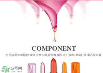 美顏秘笈好用嗎？美顏秘笈果凍口紅孕婦可以用嗎？
